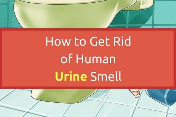 How to Get Rid of Human Urine Smell | Xion Lab