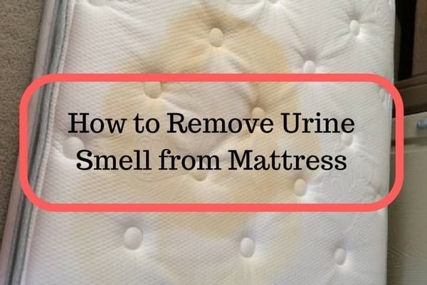 mattress cleaner for urine
