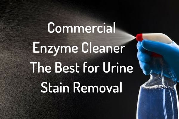 enzymatic cleaner