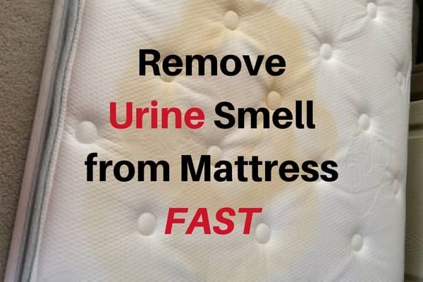 clean urine from mattress