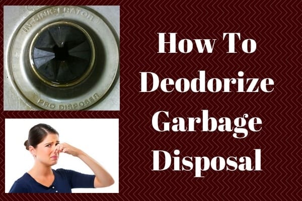 garbage disposal cleaner