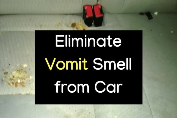 enzyme cleaner for vomit