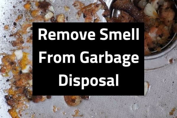 Remove smell from garbage disposal