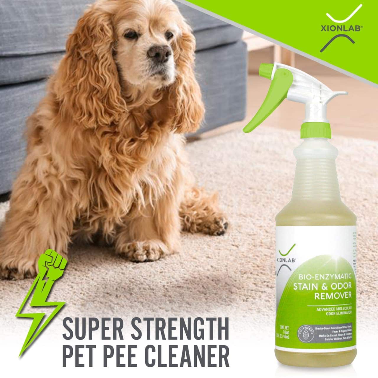 Enzyme Based Cleaning Product
