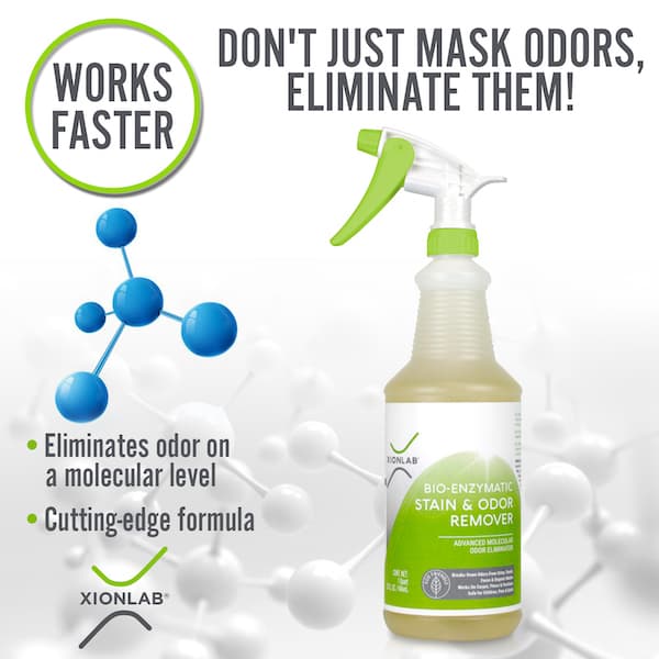 XionLab Bio-Enzymatic Stain & Odor Remover Quart